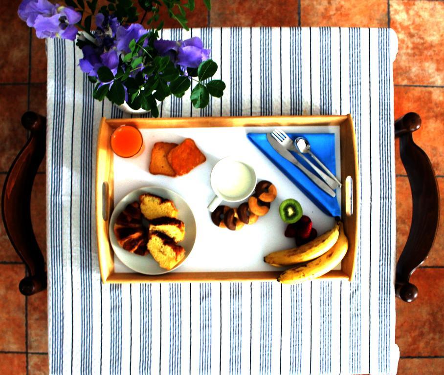 Il Vecchio E Il Mare Maratea Bed & Breakfast Dış mekan fotoğraf